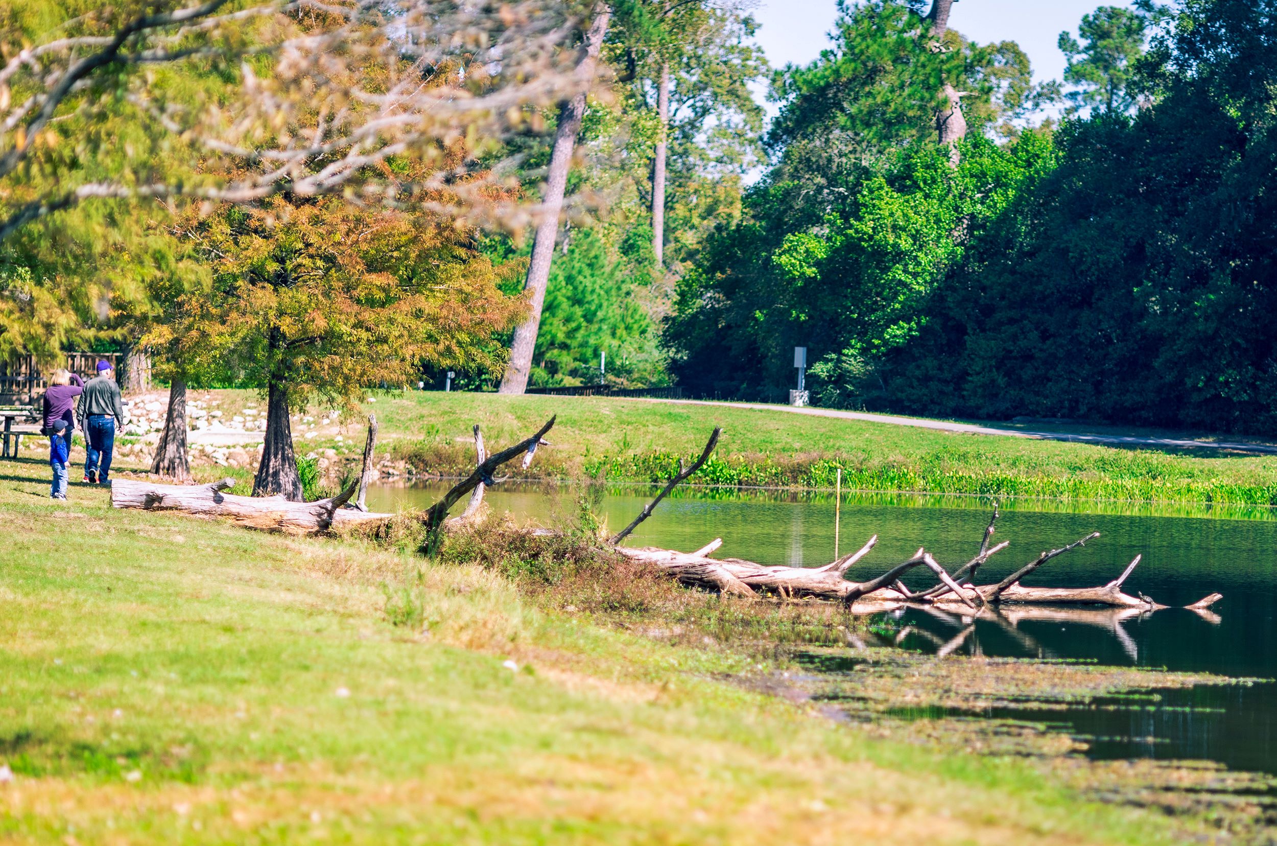 Louetta Shutterstock 1863911536